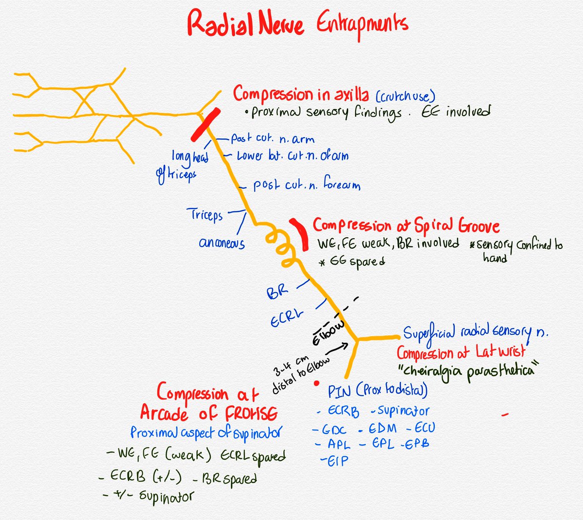 Nerve entrapments: upper limb