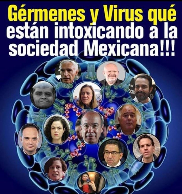 Armando7870's tweet photo. @marianagc Alarmista mediocre INEPTA
Deja de infectar con tu FALSA preocupación eres propagadora de Fake y del MIEDO
BOROLAVIRULENTA
Se hacen bien las cosas
La OMS Felicita a México (Aunque les ARDA)
#QuedateCallada
No, no es violencia es pedirle conecte el Cerebro
Piénsalo 2 veces https://t.co/U7qd38rUdh