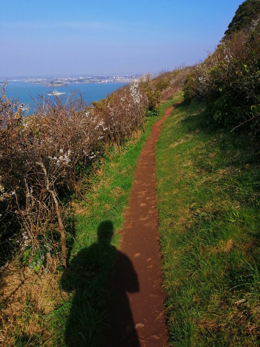 NathanwhiteMCA's tweet image. Goodnight Mayflower. Great seeing your shares today. How was your PE? Mine was my one outdoor exercise: clear sky + empty trail + running shoes= ✔️ wellbeing.
All 4 pillars covered. Follow #MCAWellbeing tomorrow for more info. @Mayflower_MCA @DavidSammels @siobhanbradsMCA #MCAY1