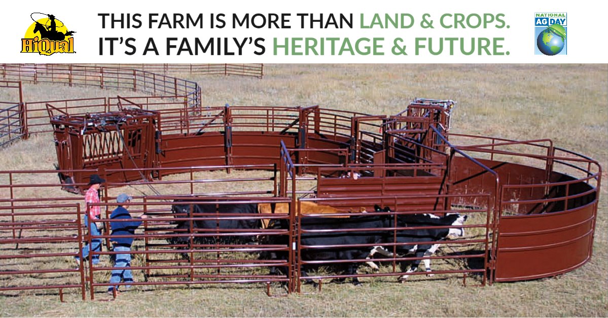 HiQualEquipment's tweet photo. Happy National Ag Day! Did You Know...Almost half of the 2.2 million farms in the US have cattle & calves. Today, on #NationalAgDay, we want to say thank you to the individuals who dedicate their lives to feeding the world. #AgDay20 #ThankYou #Farmers #HiQual #HiQualEquipment https://t.co/7RwFLr24qD