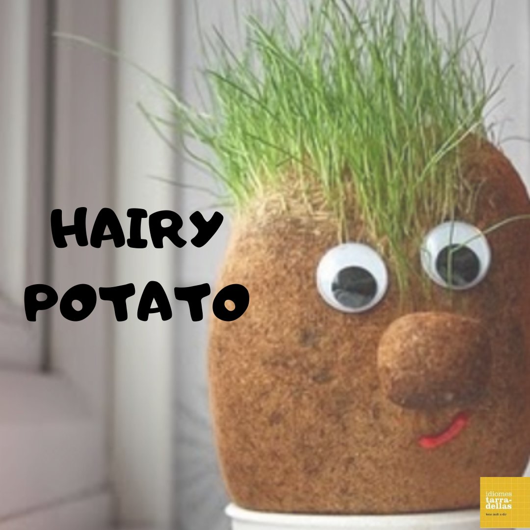 id_tarradellas's tweet photo. HAIRY POTATO!
Creem aquest divertit company de pis!
https://t.co/8hTmkblpfk
.
.
.
#academiaidiomes #academiaidiomesbarcelona #Barcelona #learning #keepcalmandlearonline #YoMeQuedoEnCasa #StayAtHome #joemquedoacasa #coronavirus #Covid_19 #ideesperferacasa https://t.co/Z39j3DQTQt