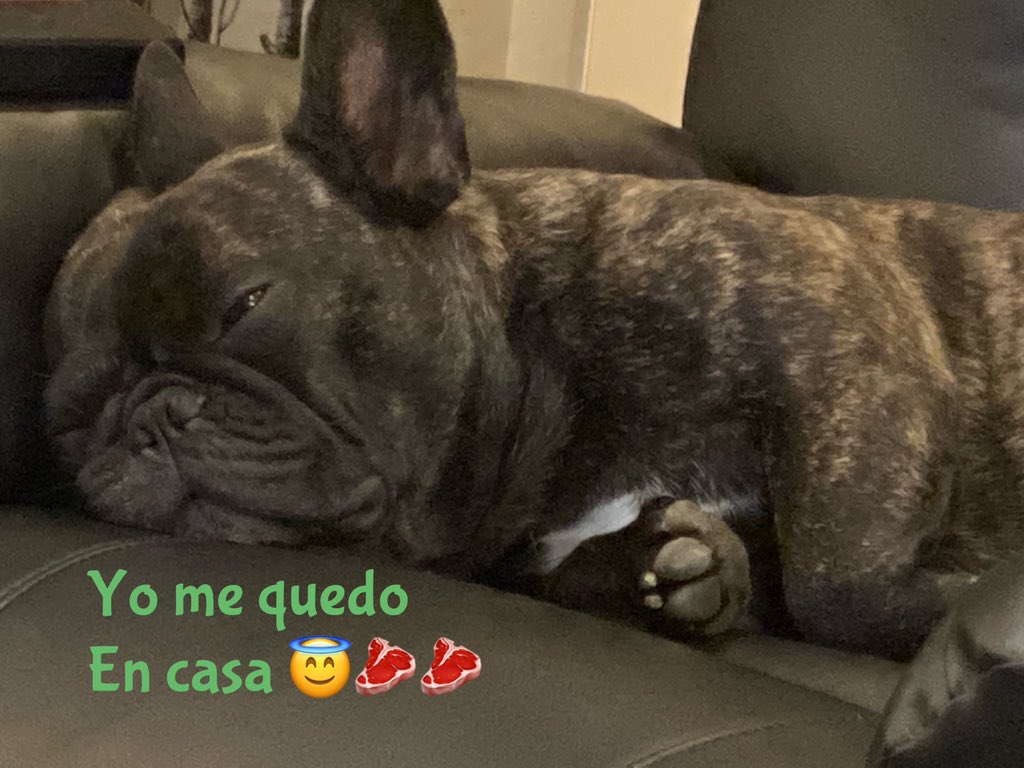 hernandezdg's tweet photo. #YoMeQuedoEnCasa#yomequedoencasatn https://t.co/tmdgHHHkOc