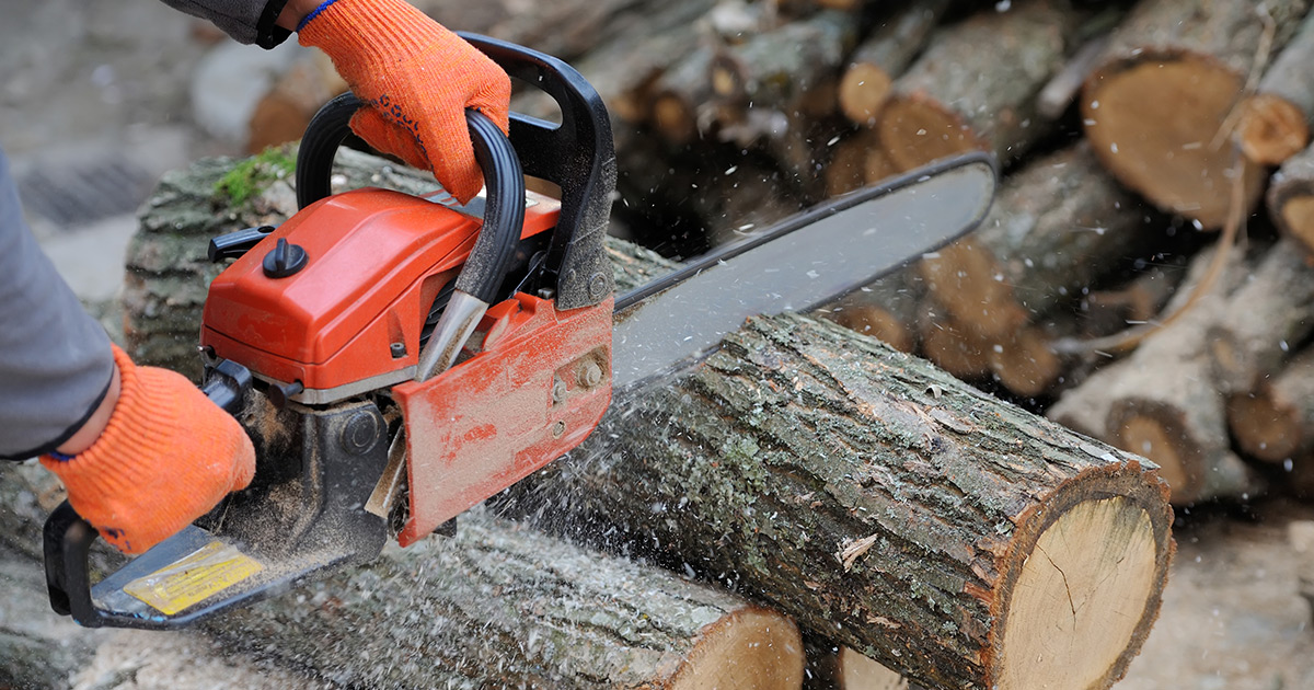 chainsawsdirect's tweet photo. The pros know: there’s no fooling around when it comes to finding a dependable chainsaw. Let our lists help you choose the best of the best.

https://t.co/8Z8FPAHFaJ https://t.co/rSQb6TeqCs