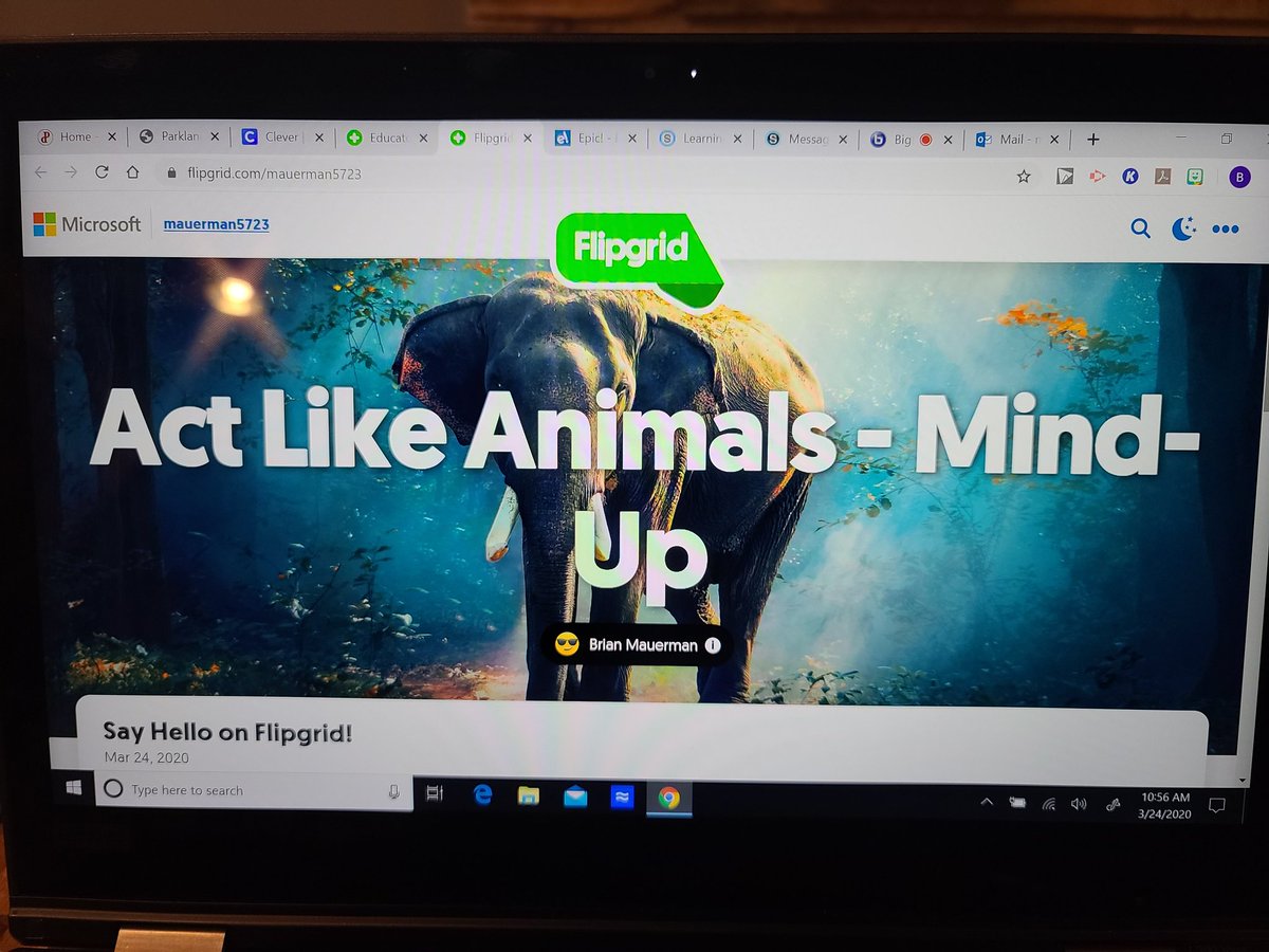 Today's Mind-Up activity had my students "Acting Like Animals."  <a href="/ParklandSchools/">Parkland Schools</a> #SchoologyAMB <a href="/Schoology/">Schoology</a>.