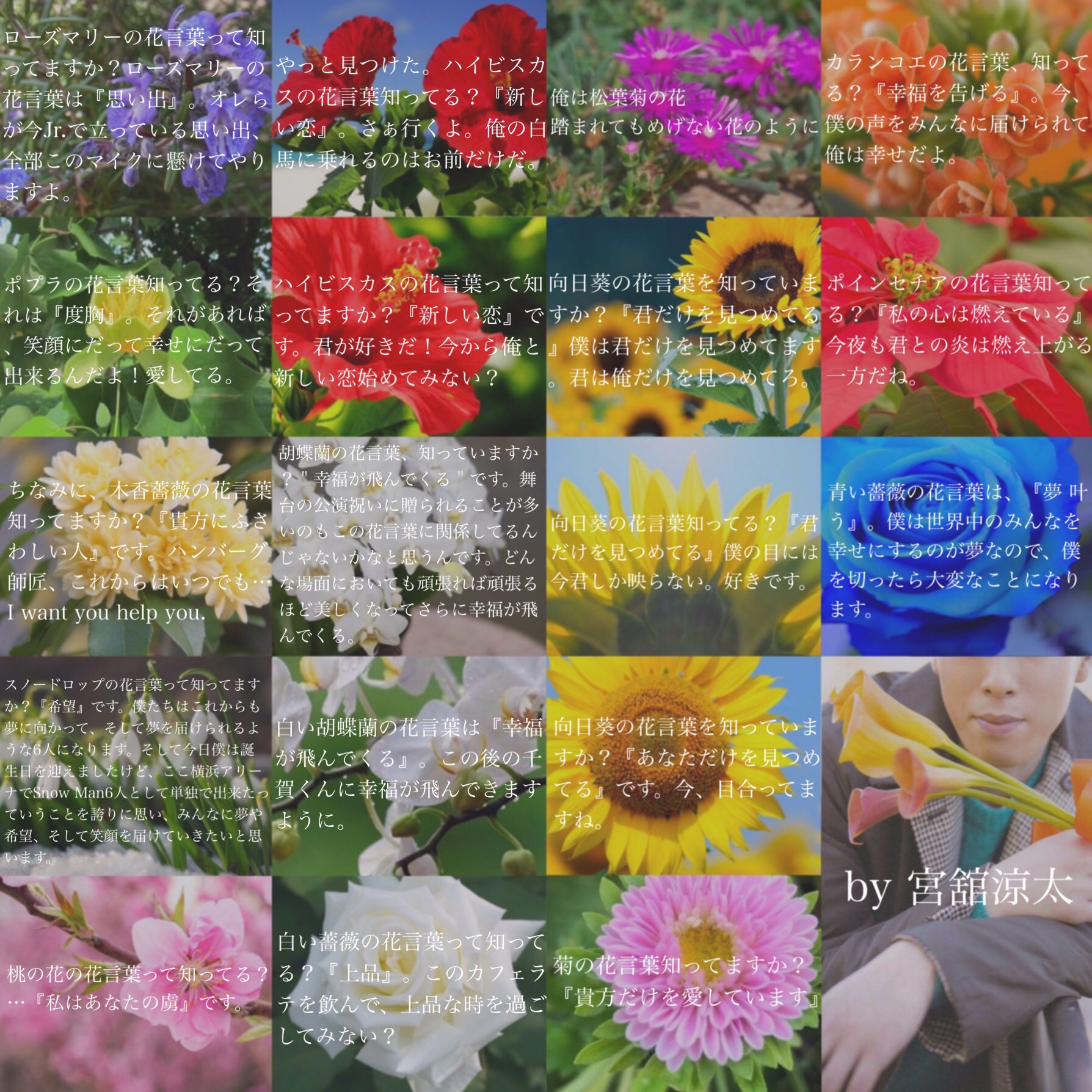 Chocoクロ No Twitter 宮舘涼太の花言葉 知っていますか 宮舘涼太