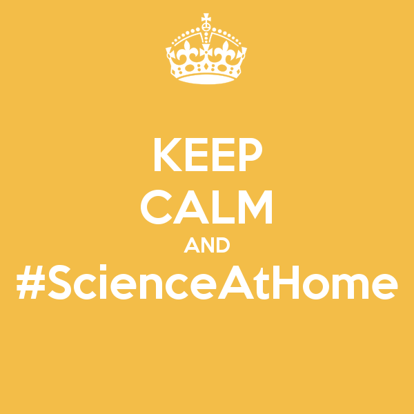 Cambridge_Fest's tweet photo. Missing #CamSciFest? We are! While we're all spending more time at home and unable to attend events, we will post online content related to Cambridge Science Festival 2020 events, that both went ahead and those that got cancelled. Follow this thread!
#ScienceAtHome https://t.co/qNdOOnW3vB