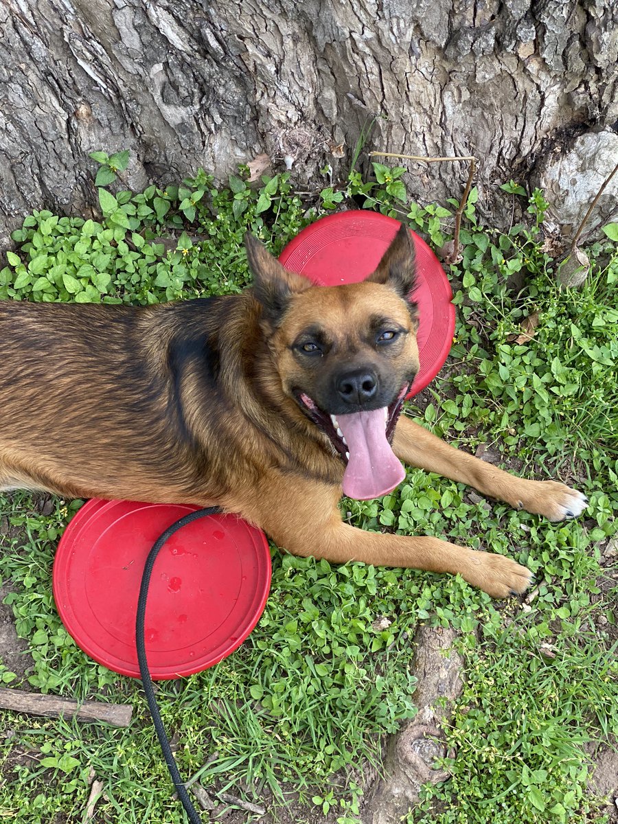 Jeffrey Treem tweet media