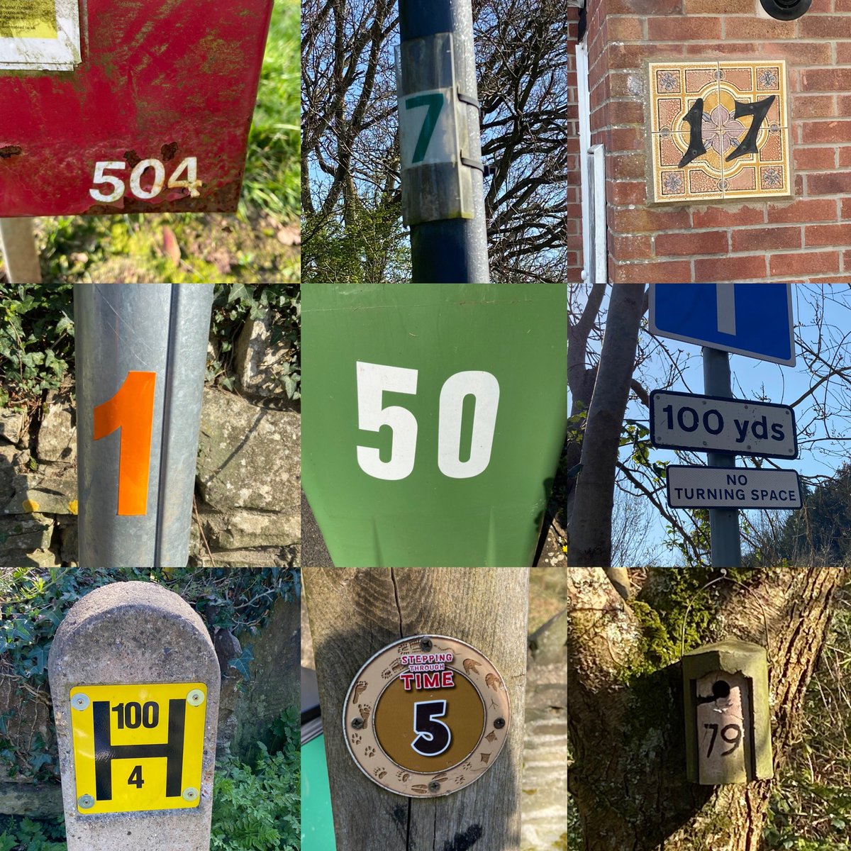 charliebrennan's tweet photo. Olly and James went on a number hunt whilst walking the dog #cherrychallenges @CherryGardenPS https://t.co/gn7MCznUEl