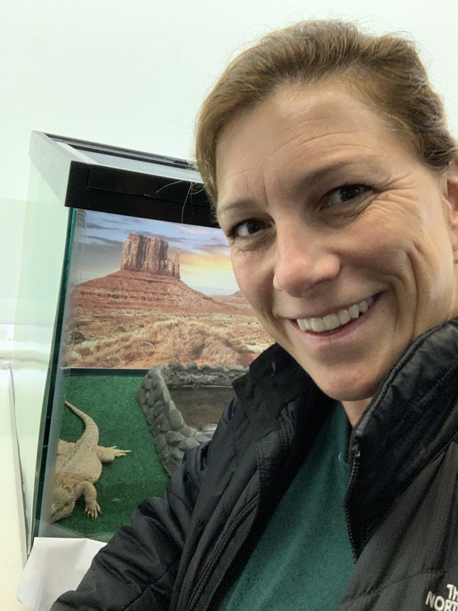 Winston the Bearded Dragon misses all the kids ⁦<a href="/JTDschool/">John Thomas Dye</a>⁩. At least he has plenty of crickets!