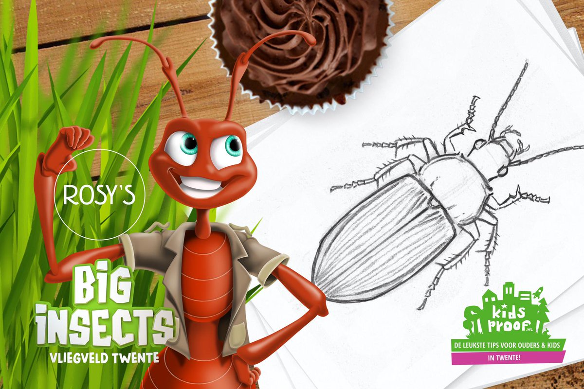 Doe jij ook mee? Teken een insect, schrijf een mooie boodschap en stuur het op. De tekening wordt voorzien van een lekker gebakje en langs gebracht bij mensen die het verdienen! 💪 bit.ly/teken-een-inse…