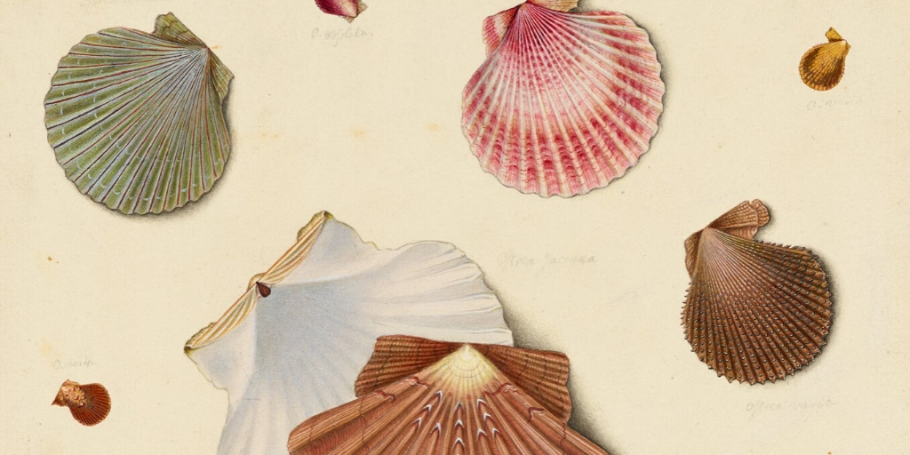 ExperienceOx's tweet image. Keep creative with @AshmoleanMuseum #IsolationCreations challenge! 🎨 Draw/paint/write about an object every day - from an Iznik tile, to a sculpture from 475 BC Cyprus, to a watercolour of seashells, to a hedgehog/mouse vase! Over on #Ashmolean Twitter ➡️bit.ly/3dqJ5BF