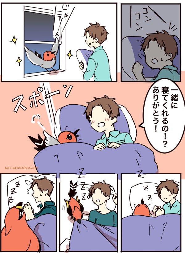 #ポケモンと生活
ヤヤコマと添い寝 