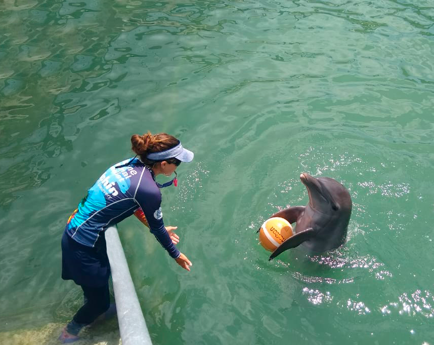 TheDolphinCo_'s tweet photo. At #HomeOfTheMostLovedDolphins, specialists continue to care for marine mammals with environmental enrichment activities.
#ToKnowIsToLove #NothingStopsUs #DolphinAwareness https://t.co/Raxt6Jmo7Q