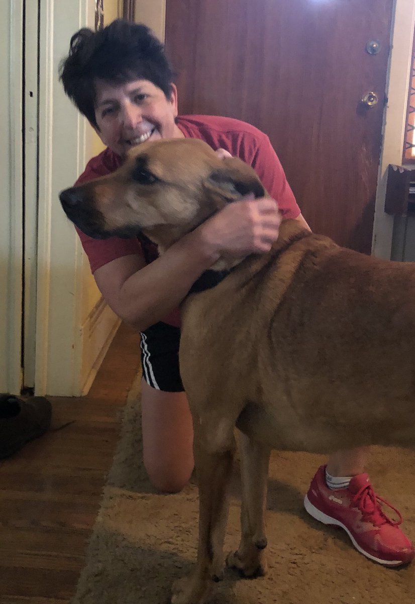 MAMrsBrewer's tweet photo. Pet Day for Virtual Spirit Day! https://t.co/hEUDnkU3O2