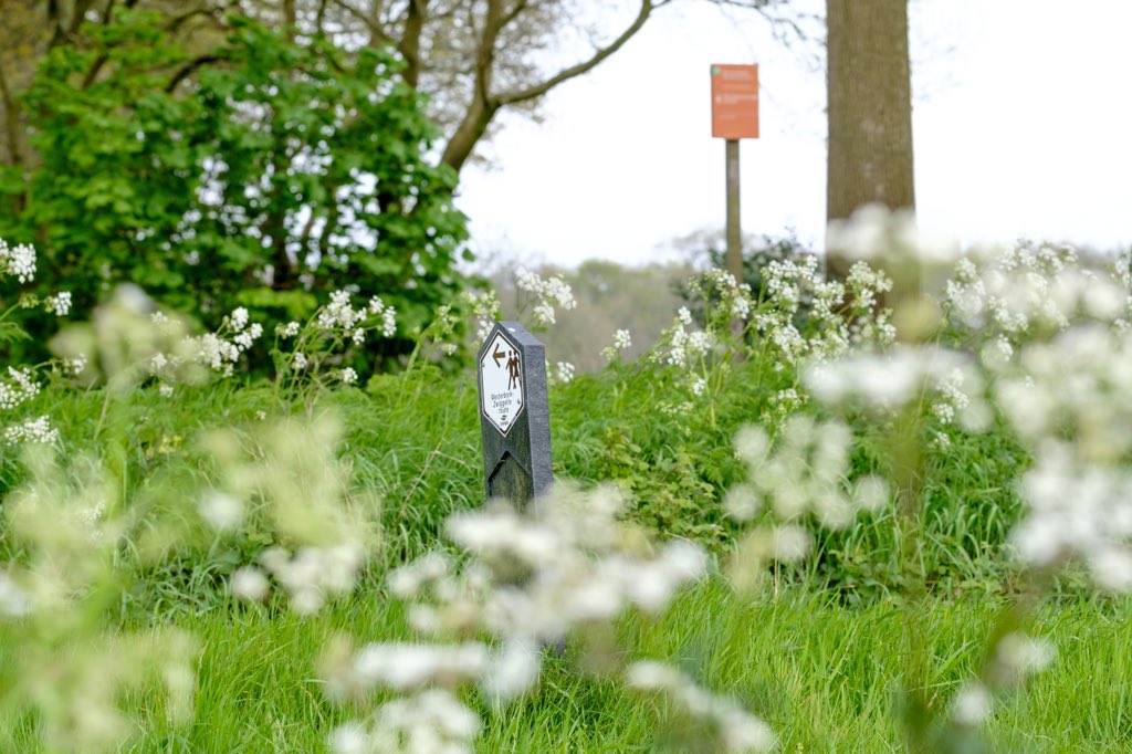 🏡 | Woningzoekers in Westerbork en omstreken opgelet! Deze week gaan wij weer een aantal woningen op foto en video zetten, waaronder een leuke twee-onder-een-kapwoning op het Hooimaveld. Benieuwd? Stuur ons dan een berichtje! 😃

ℹ️ Zingervastgoed.nl

#makelaar #westerbork