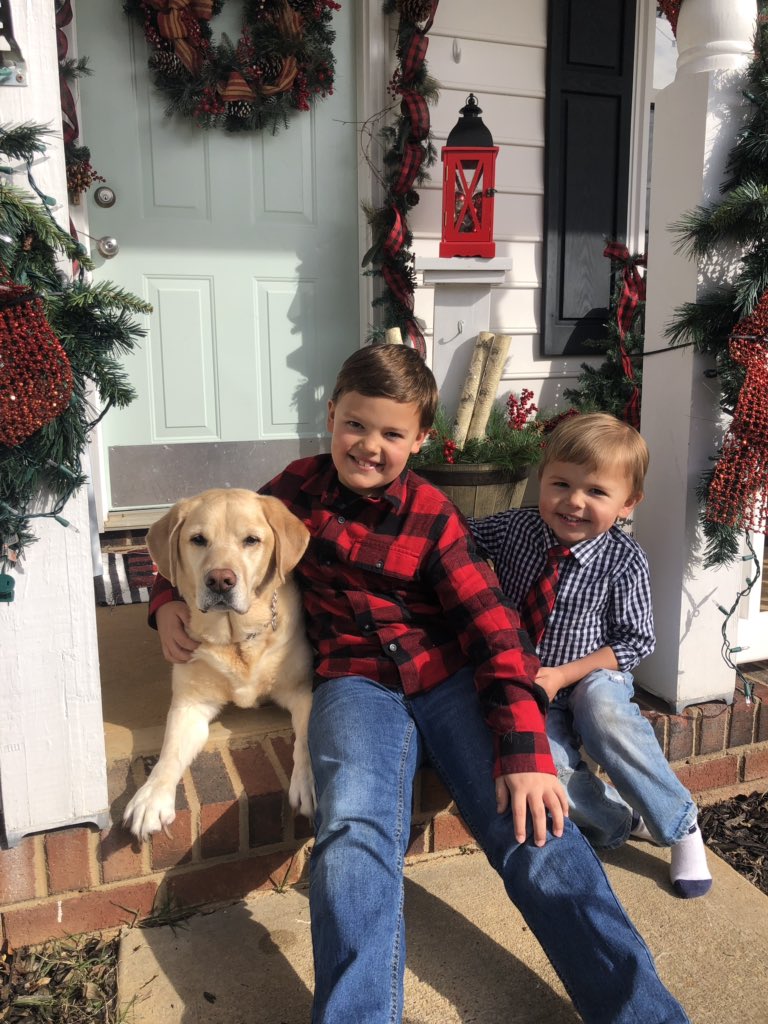 strauchsclass's tweet photo. Happy National Puppy Day! Here’s our girl, Allie 
@StallingsES @AGHoulihan @lgaddy72 @debbief59 @MrBagshaw @UCPS_MonroeNC https://t.co/esSe0isw1R