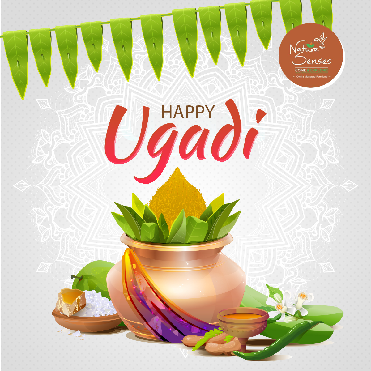 Join us this festive season and celebrate the traditional Ugadi in your village-style getaway!! Happy Ugadi!!

#NatureSenses #FarmLand #Ugadi #Ugadi2020 #UgadiSpecial #UgadiPooja #UgadiCelebrations #Festival #FestiveMood #Happiness #Celebrations