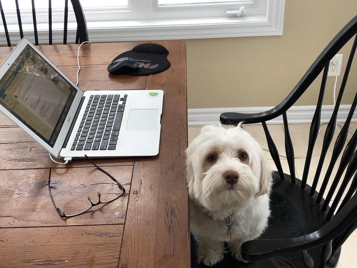 Like everyone, we're working from home. But the NyRAD team is still available to help with your needs. Get in touch today if we can be of assistance - nyrad.ca #workingfromhome #workingremotely