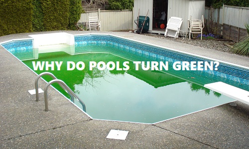 sdpooltech's tweet image. Pool water turns green because plant matter is growing in the water. Moss grows on a rock, grass grows in your front yard, and algae grows in your pool...

swimmingpoolsteve.com/pages/turn-gre…