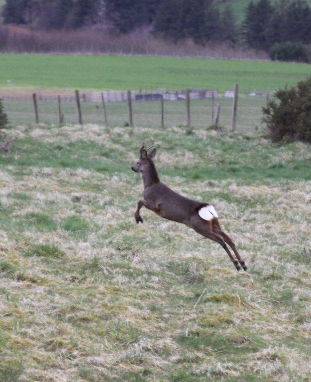 Country Frames Gallery (GalleryCountry) Twitter