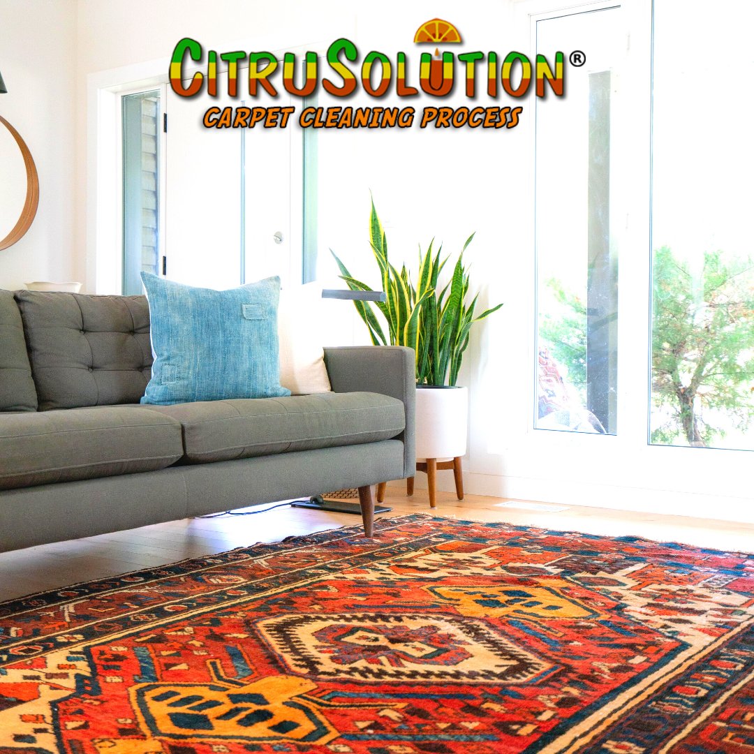 citrusolution1's tweet image. Keep your rugs clean and fresh with Citrusolutions carpet cleaning system. Call today to schedule your cleaning! (912) 536-5336

#citrusolutions #cleancarpet #freshhome