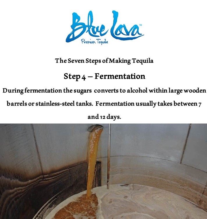 BlueLavaTequila's tweet photo. 7 Steps to Make Tequila.   Step 4 - FERMENTATION

#craftspirits #tequila #alcoholicbeverages #agave #mixologist #liquor #spirits  #spirit #bartender 
#cocktails #cocktail #bartenders #distilleries #mixologists 
#distributors #guadalajara #distribution #jalisco 

@liquorceo https://t.co/c41I5R62jq