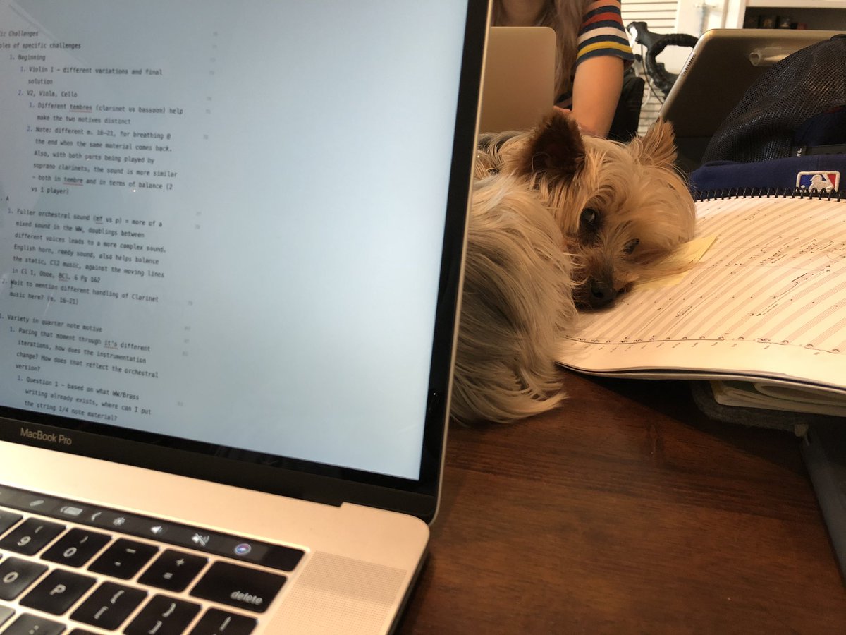 jpsconductor's tweet photo. My resident proof reader
#dma #lecturerecital #writing #conductor #conductorlife https://t.co/EXGWSmar3R