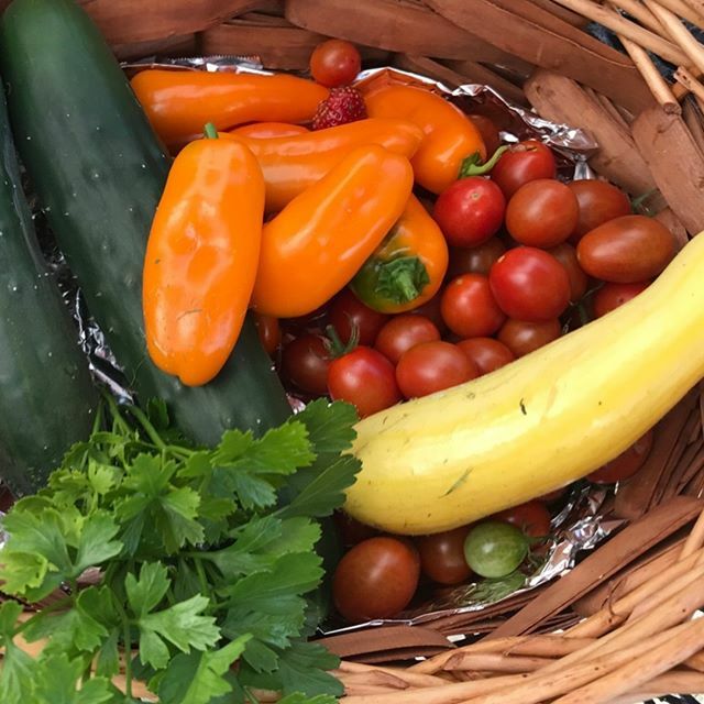 An update in light of Governor Hogan's most recent order - as an agricultural service, Edible Eden will remain open and operating. At this time, we feel it is our responsibility to continue to provide fresh, local food to our community. That said, we are… ift.tt/3bofqHm