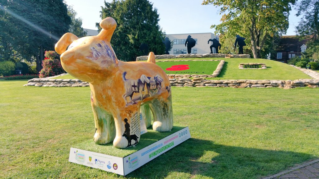 There is always beauty in hope...

...and we hope you will share with us some of your beautiful #ashfordsnowdogs memories to help brighten up our day.