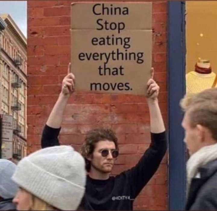 Yemeyin oğlum bulduğunz her boku yemeyin walla yeter arkadaş gına geldi #Hantavirus