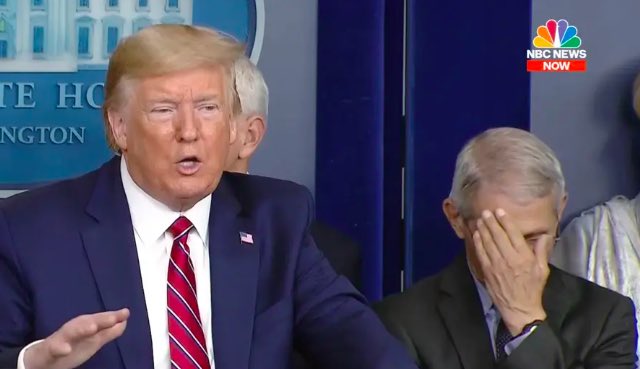 notdrfauci's tweet image. When you get straight As but the guy who’s failing insists on doing the presentation