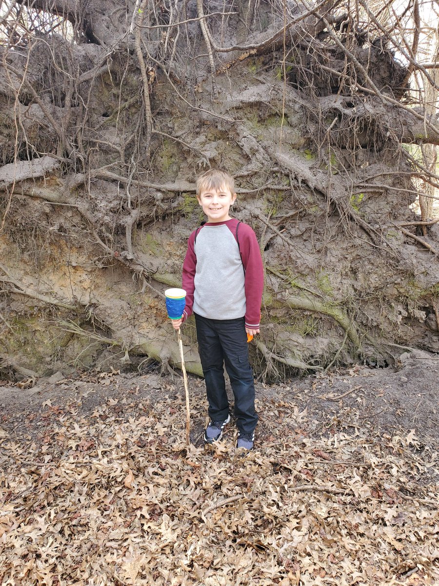 Lynnerbug's tweet photo. Here's a tip for all your nature walks! Darren created a "collection walking stick!" No more rocks &amp; sticks in your pockets parents! 🤣🤣 #walkingstick #naturewalk #collections #rpfamily @RPPrincipal https://t.co/ZZxYIanwq6