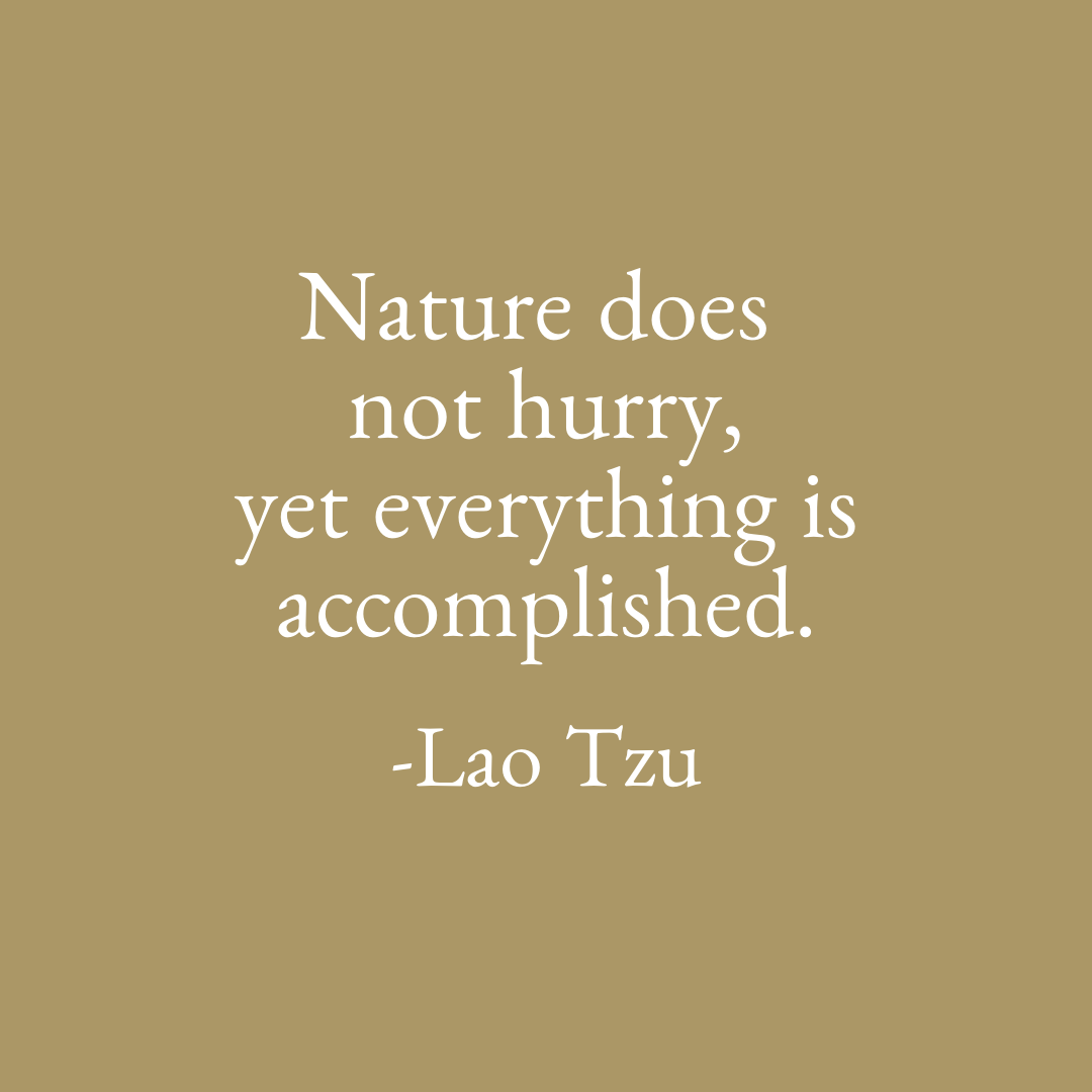 There's no need to rush. 🙏🏻 Take your time, whatever will be... will be.