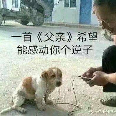 flyzy4's tweet photo. @caviswanadh @zlj517 The word “rape” should be replaced by “India” https://t.co/afE59iA3kC