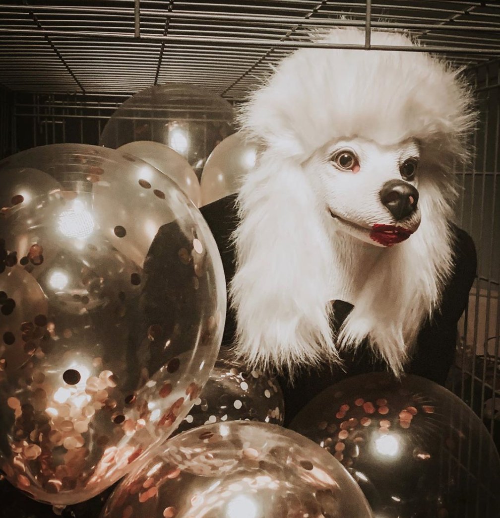 Prelude Press tweet media