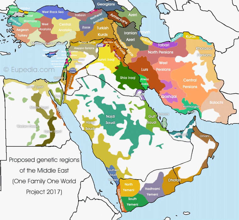 Ancient Migratory Events in the Middle East: New Clues from the Y-Chromosome Variation of Modern Iranians https://www.ncbi.nlm.nih.gov/pmc/articles/PMC3399854/