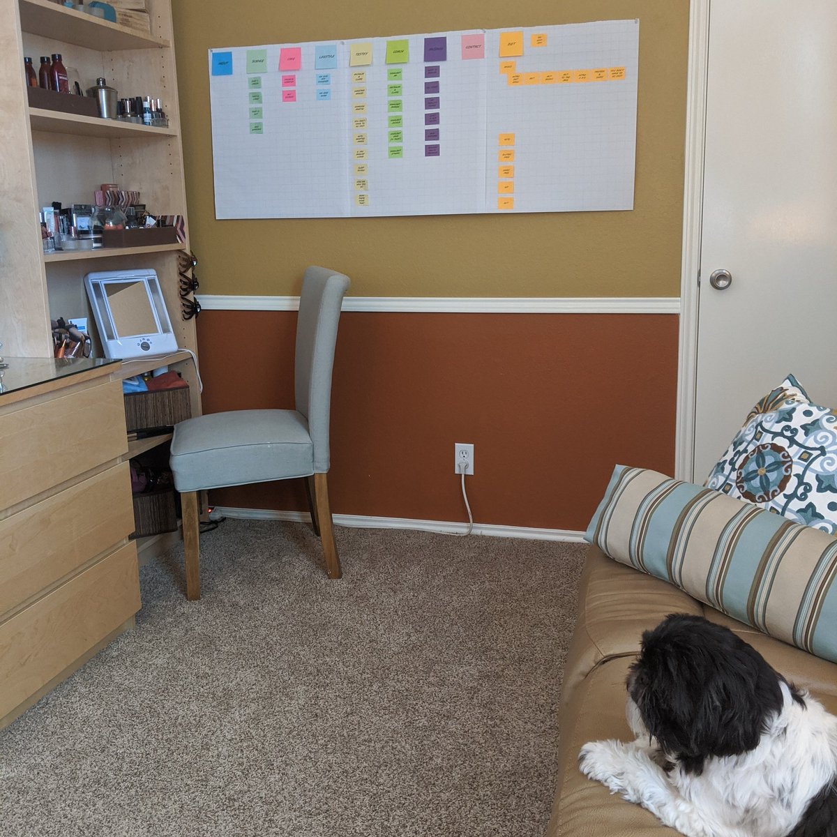 MadcapGina's tweet photo. Shelter in place=time to work on the new website. I've stuttered &amp; started &amp; stopped this project so many times I had to literally get it out of my head so I could organize my ideas.  Gotta love super sticky Post Its! #madcapnarcolepsy #dietfornarcolepsy #narcolepsy #madcapdiet https://t.co/Z2CBa9iW6m