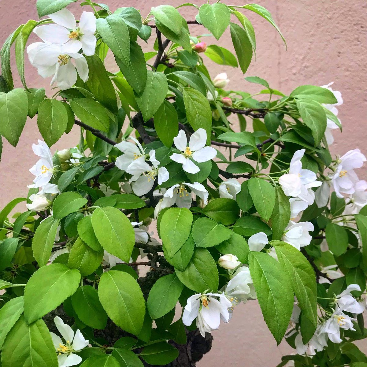 Dave Castro tweet media