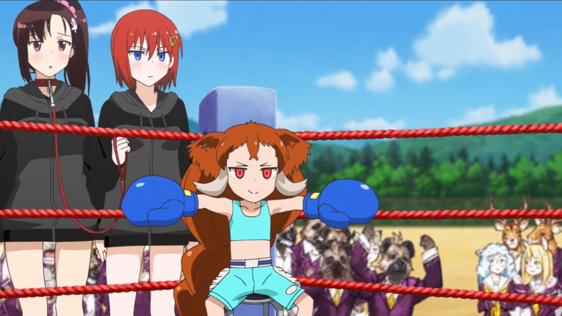 Аниме девушка Boxing зоопарк