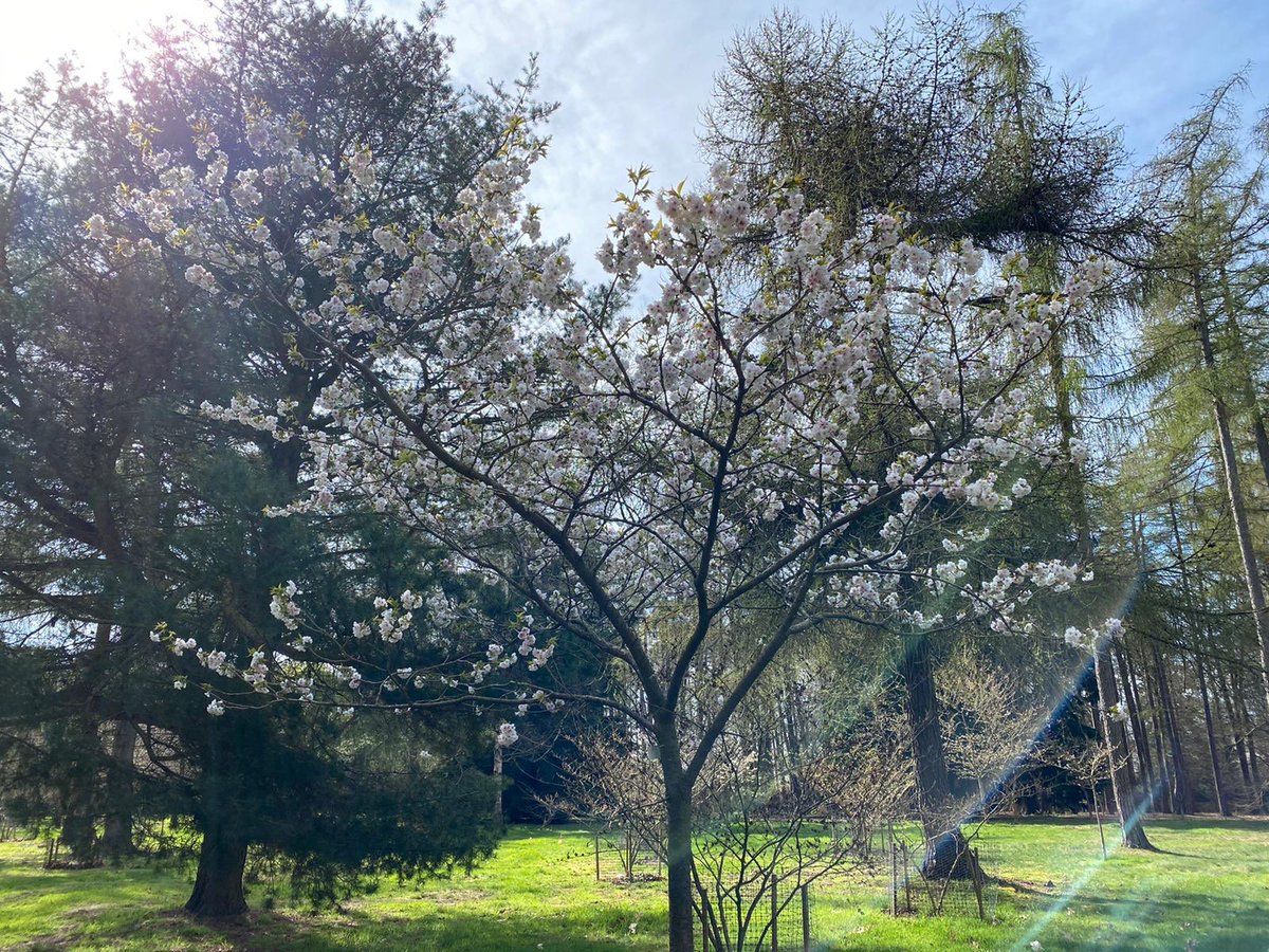 sarahMFergie15's tweet image. Mother Nature has sent us to our rooms.. like the spoilt children we are. She gave us time and she gave us warnings. She was so patient with us. She gave us fire and floods, she tried to warn us but in the end she took back control.