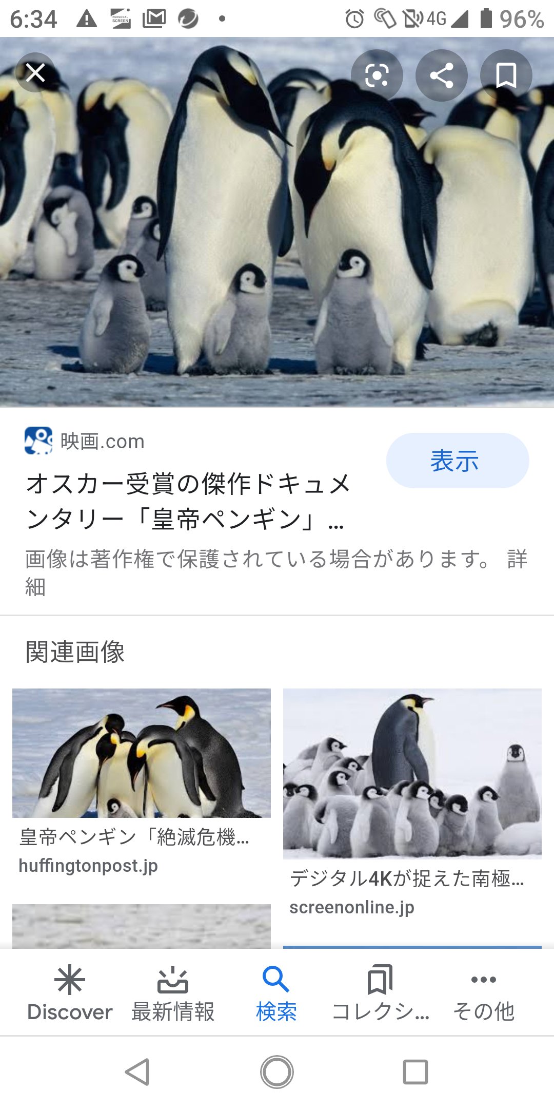 スジモンは魔女化した コウテイペンギンの大人とヒナがこれ 分かりやすく説明するとエンペルトとポッチャマ 仕方ないので画像で癒される事にする ぬいぐるみ欲しいなぁ デフォルメされたやつじゃなくて等身大のリアルに寄せてあるやつ でも