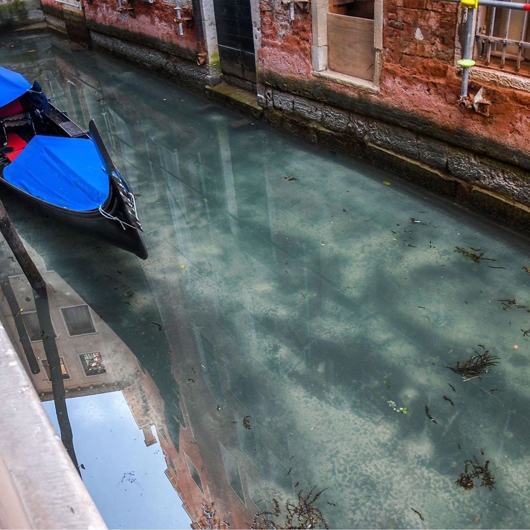 No_PlasticWaste's tweet image. This crystal clear canal in Venice, Italy is a reminder of the impact we have on our environment every day and what our environment could look like.

#NoPlasticWaste
📷 Reuters