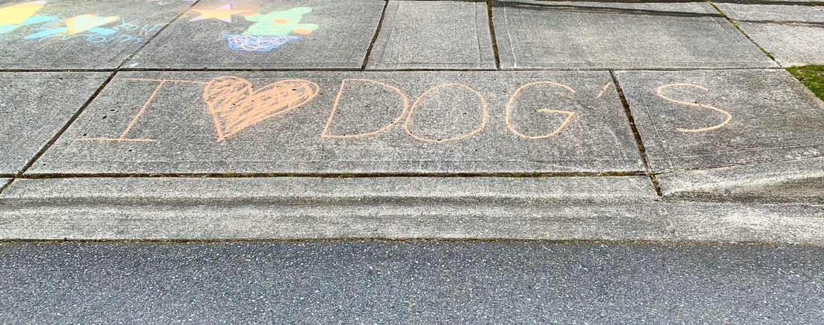 Day 8/30(?) of school closureThe 11yo left her chalk statement art unfinished or her grammar skills are collapsing already.