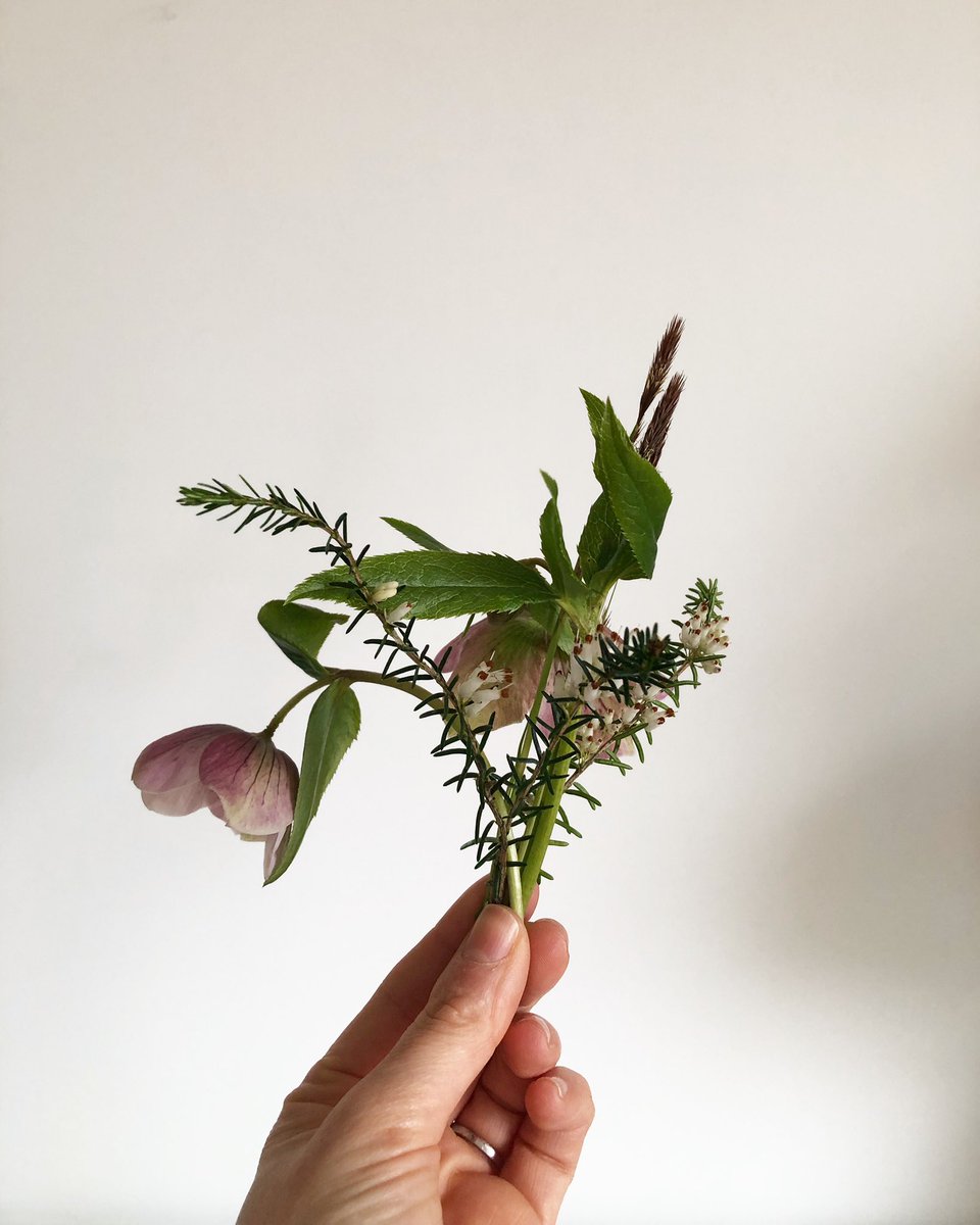 Pretty blooms from the garden is as far as we got today...#homeschool #stayhome #staysafe