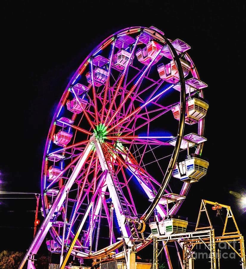 St Lucie County Fair tweet media