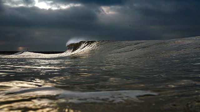Scheveningen Strand tweet media