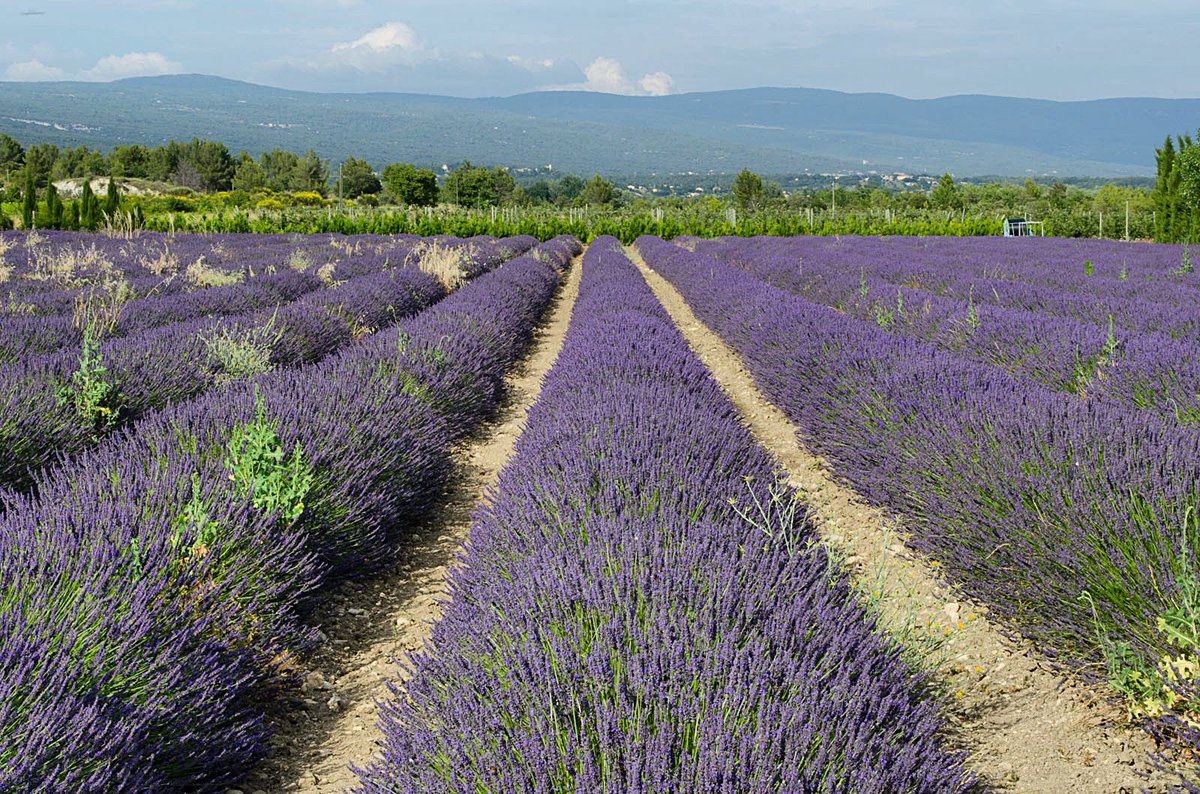 kaitlin gladney (@kaitlingladney_) on Twitter photo 