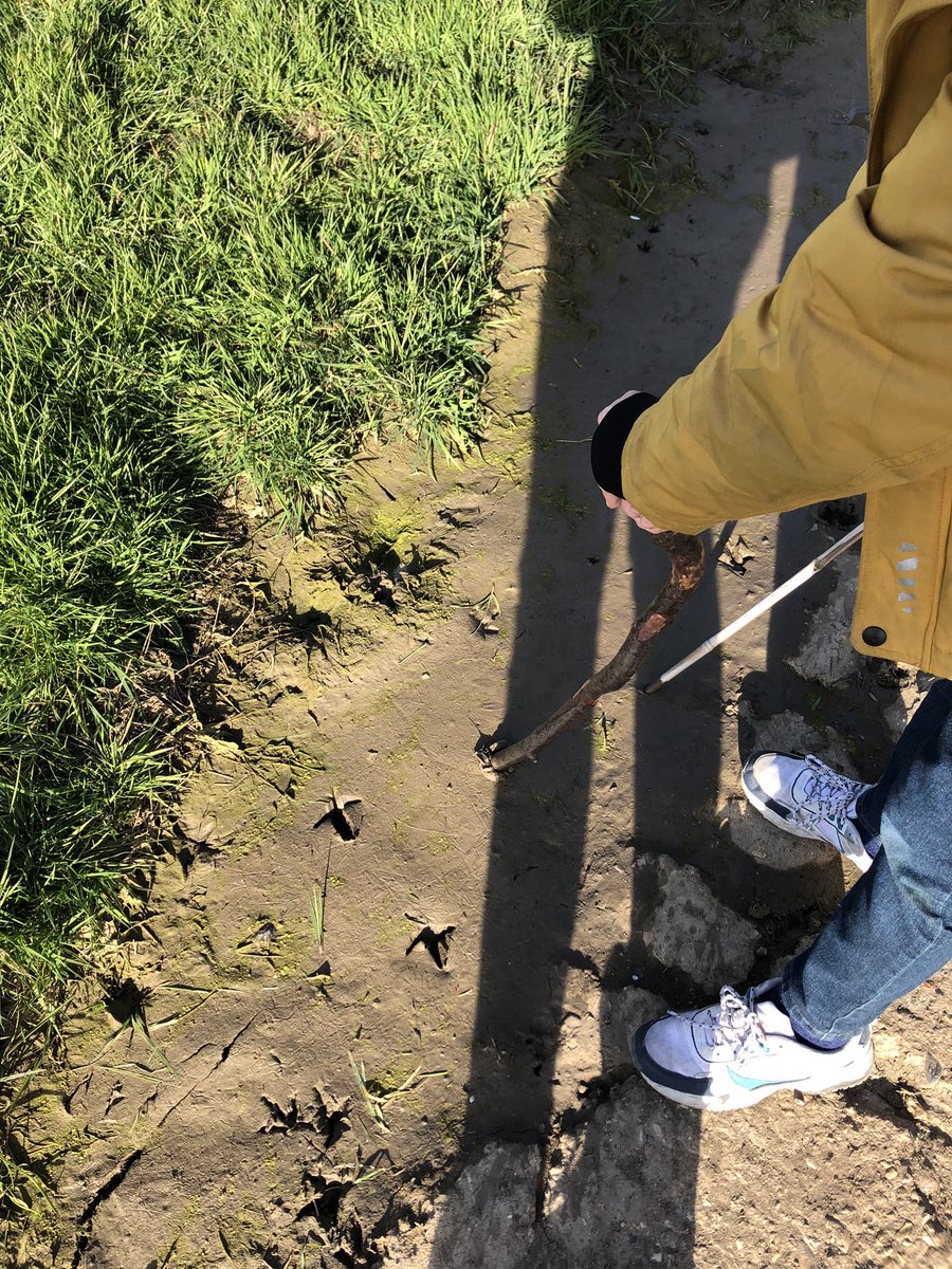 idemangeat's tweet photo. @CedarClassY6 We had a nice day, a little maths and a lot of guessing what creature made these tracks on our walk. https://t.co/WUC0HHeQVT