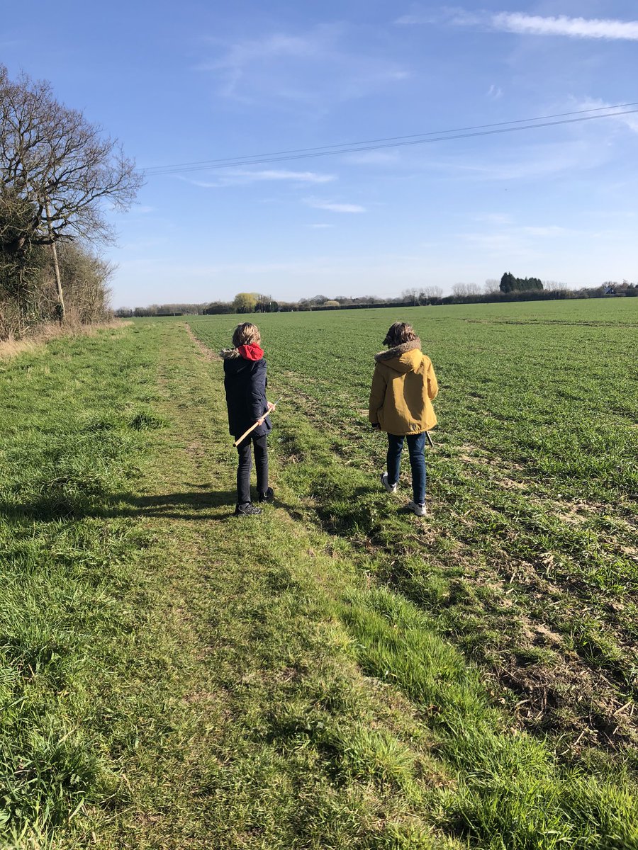 idemangeat's tweet photo. @CedarClassY6 We had a nice day, a little maths and a lot of guessing what creature made these tracks on our walk. https://t.co/WUC0HHeQVT