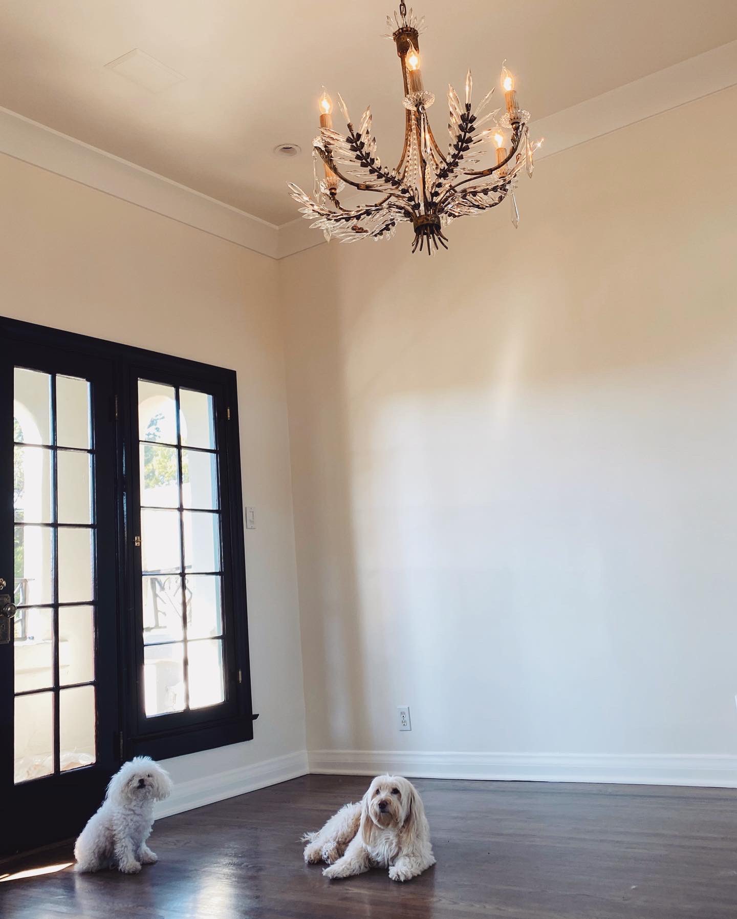 Stassi Schroeder On Twitter Over The Past Few Weeks We Completely Transformed Our New Home Using Behrpaint Swiss Coffee On The Walls And Whisper White On The Trim And Totally Thankful